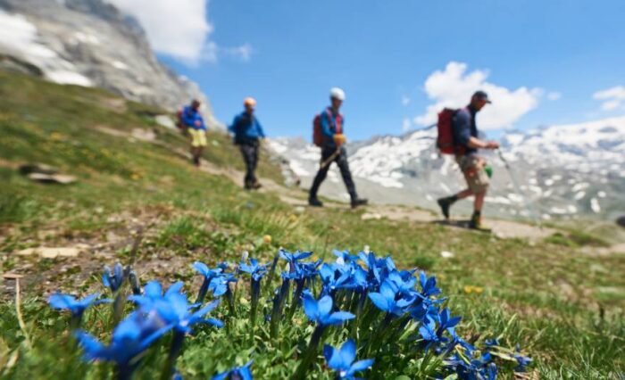 UNWTO - Tourism Potential for Mountain Ecosystems Outlined in New Report - TRAVELINDEX