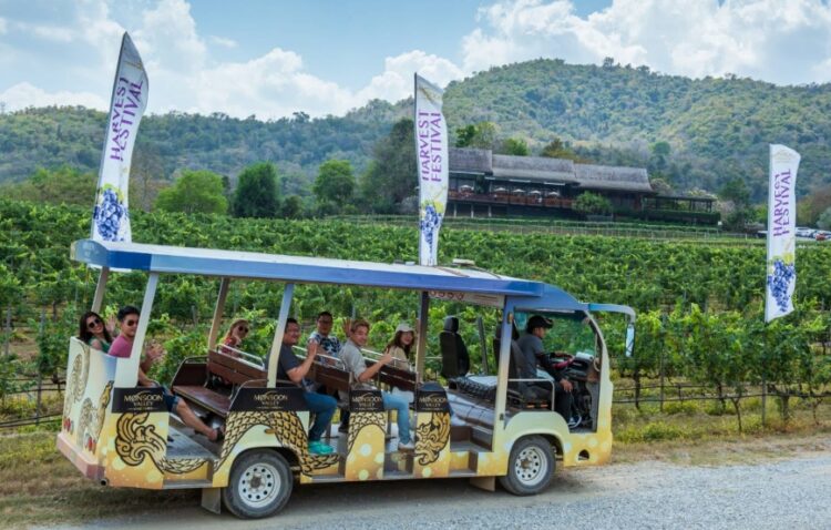 Monsoon Valley Vineyard Celebrates the Annual Harvest Festival 2025 - TRAVELINDEX