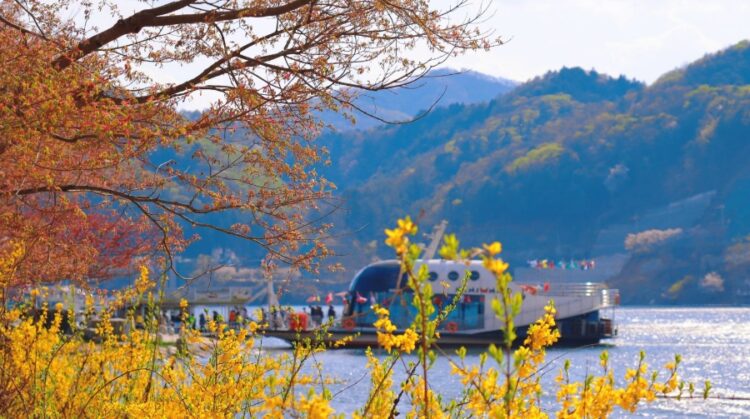 Nami Island Achieves Outstanding Recognition at the 2025 Skål International Sustainable Tourism Awards - TRAVELINDEX